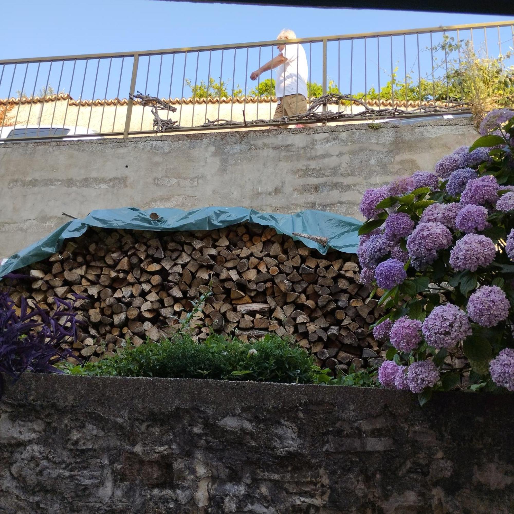 Apartmani Lovor Herceg Novi Dış mekan fotoğraf